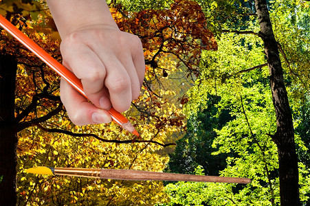 自然概念季节和天气变化手用铅笔在绿色夏林中画秋叶图片