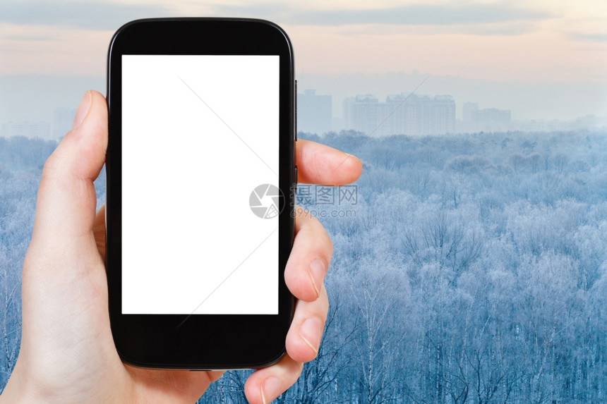 旅行概念手持智能机用剪断的屏和冷冻冬季森林作为背景图片