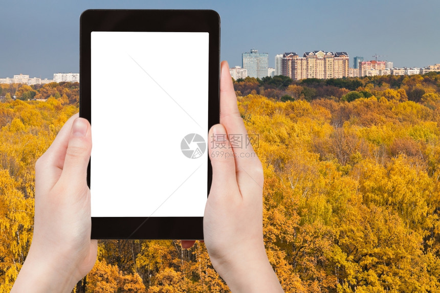 旅行概念手持智能机切断屏幕和黄色秋季林木城市背景图片