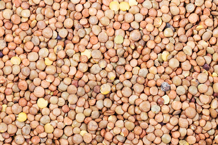 食物背景许多生棕扁豆种子图片