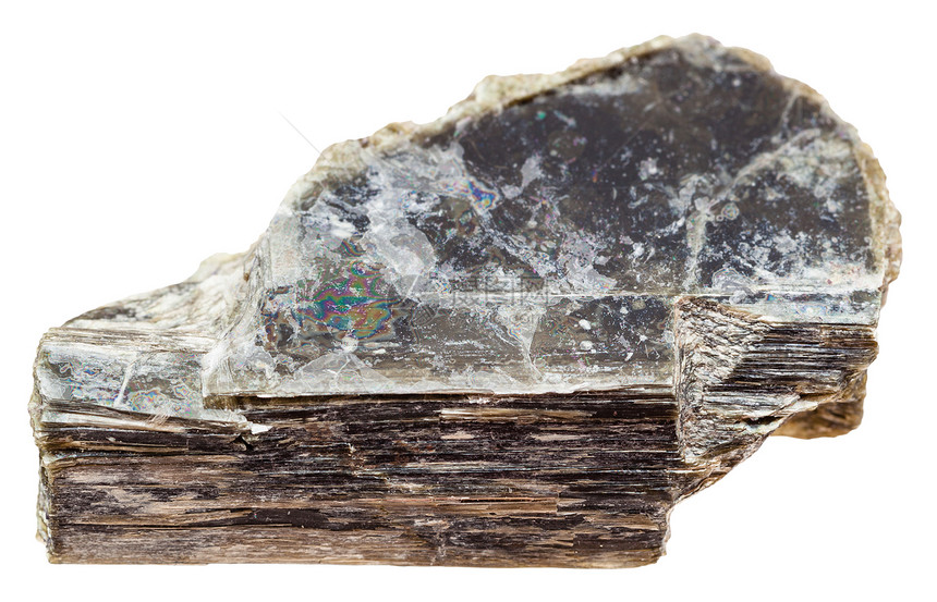 天然矿物石的宏观拍摄白色背景上分离的白云母二八面体云母普通云母云母钾云母石图片