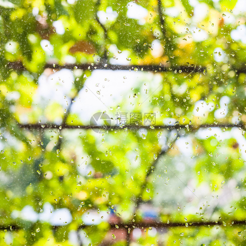 乡村房屋窗玻璃上的雨滴和夏季日背景的模糊葡萄园图片