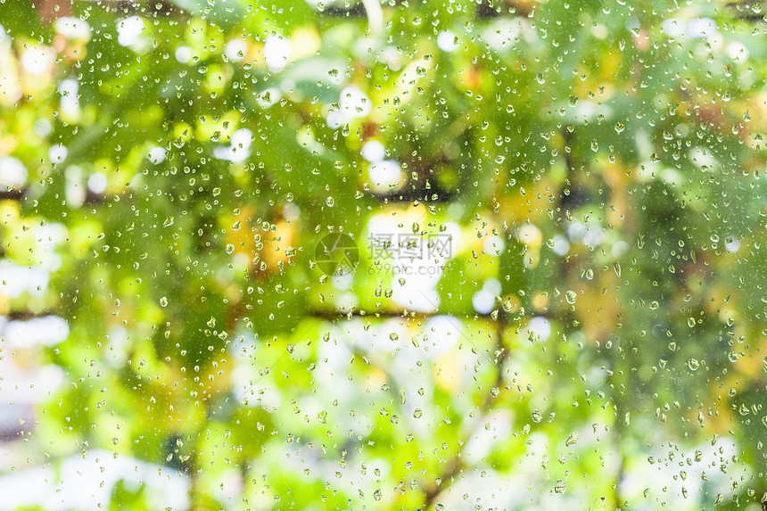 乡村房屋窗面的雨滴和夏季日背景的模糊葡萄园图片