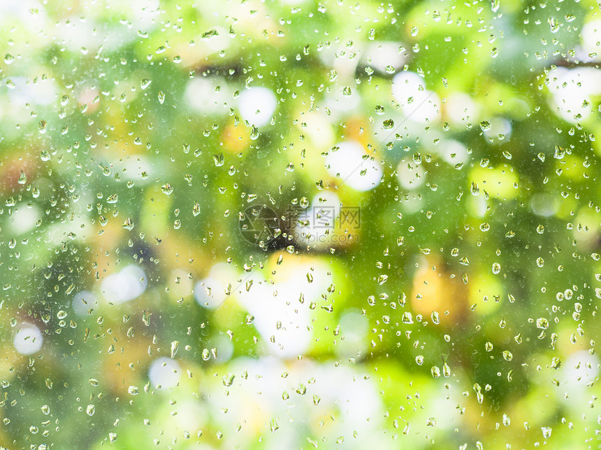 乡村住宅的窗和夏季日背景的模糊葡萄园雨滴图片