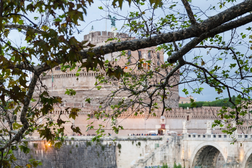 前往意大利旅行秋天傍晚在罗马市背景的锡卡莫尔树分支和圣安吉洛天使骑士卡斯特勒安杰洛图片