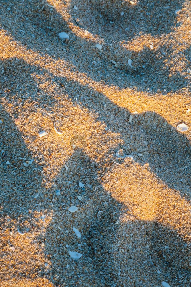 前往葡萄牙阿尔加维日落时分在阿尔布费拉市附近的维拉穆拉地区的普拉亚达罗查拜辛哈纳森特海滩沙滩上有贝壳图片