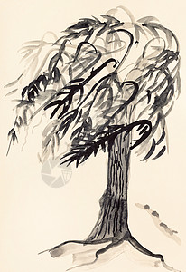 用水彩画作用纸象牙绘制柳木树草图用神话彩纸绘制背景图片