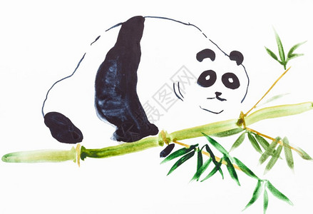 以水彩油漆为特色用水彩涂料进行神博库加风格的培训白纸竹干上的熊猫图片
