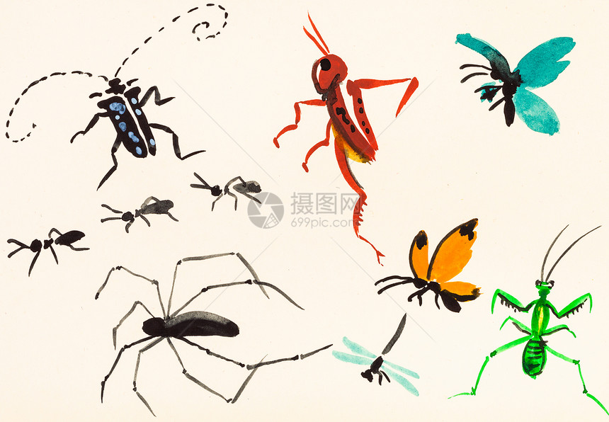 以水彩漆用奶油纸涂画的许多昆虫手在奶油彩纸上图片