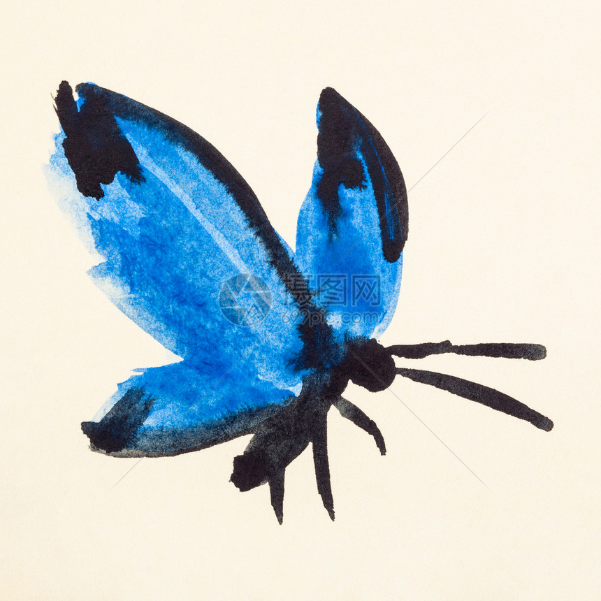 以水彩漆为色涂料用奶油彩纸涂上蓝翅膀的蝴蝶用蓝翅膀涂上奶油彩纸图片