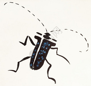 用水彩漆奶油纸涂上长角甲虫手图片