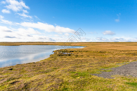 前往冰岛Leirvogsvatn湖附近的苔原景观图片