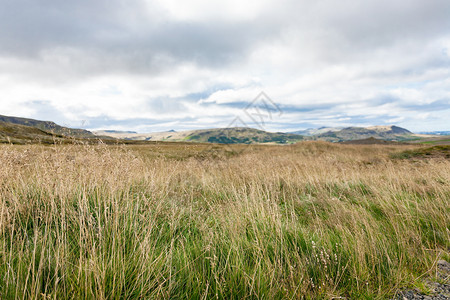 去冰岛旅游九月在斯凯格贾斯塔迪尔农场附近的田野图片