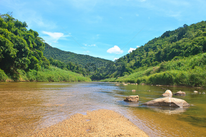 泰国深森林的河流常青图片