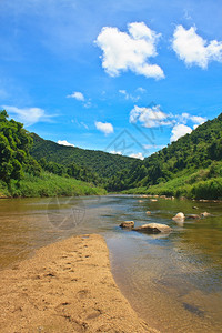 泰国深森林的河流常青图片