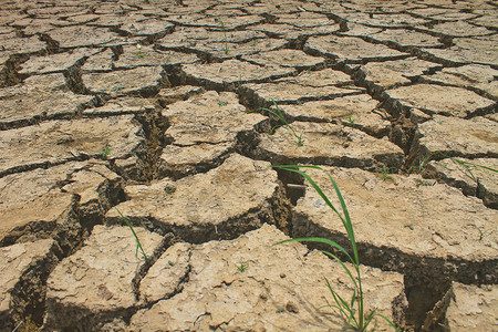 破坏地球旱季破碎的土壤质背景