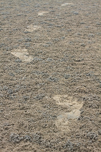 夏季沙和海浪的脚印图片