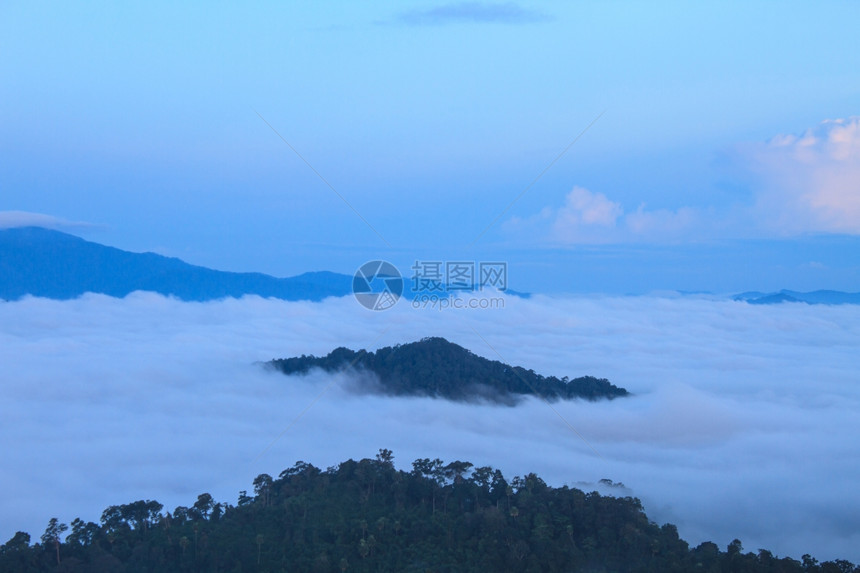 以林为山地图片