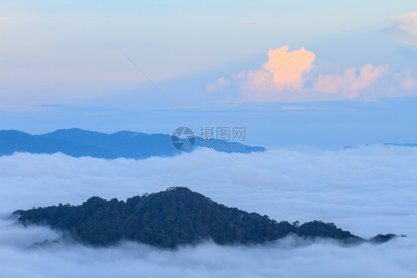 以林为山地图片