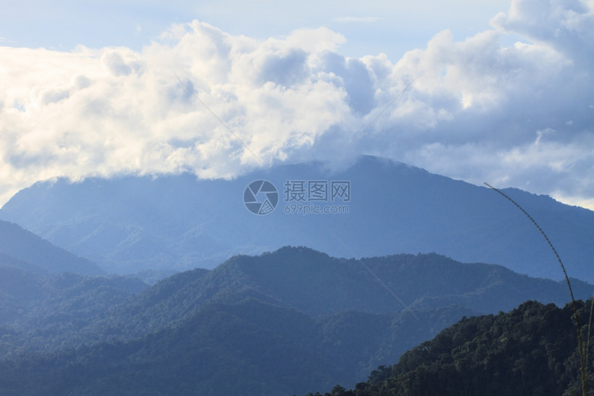 美丽的青绿山和高上的森林图片