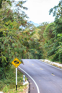 绿色森林公园的道路图片