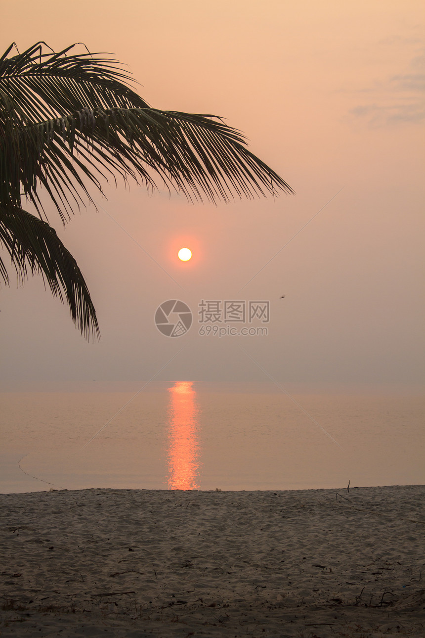 夏季海滩和热带的美丽日出图片