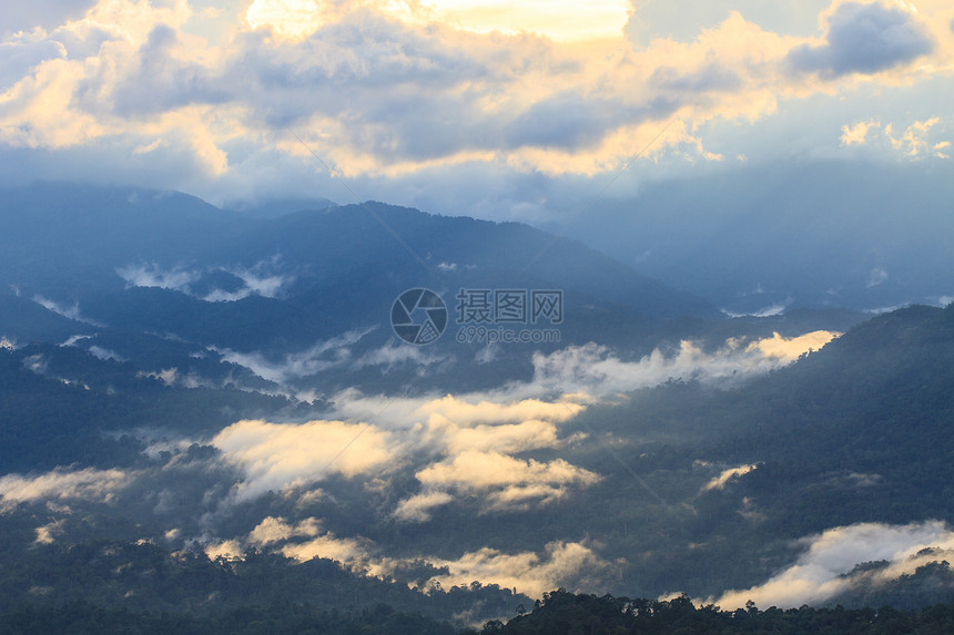 以林为山地图片