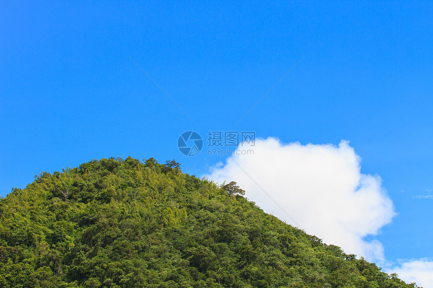 有白云背景的绿林和蓝天空图片