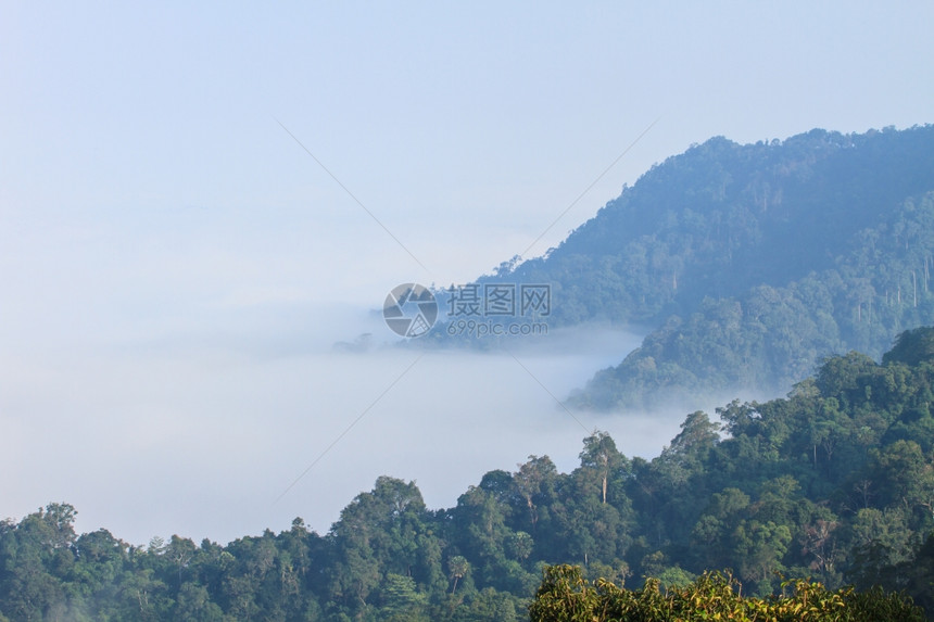 以林为山地图片