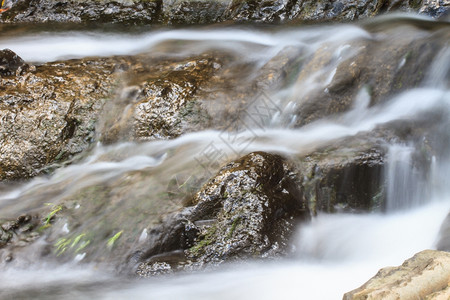 雨林瀑布和覆盖着苔的岩石图片