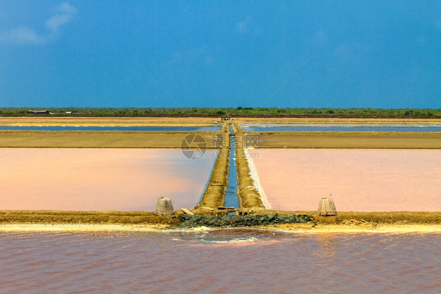 泰国农村盐碱图片