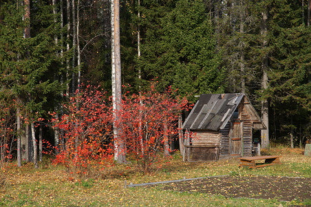 村里的Wooden房屋图片
