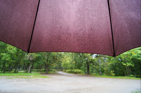 雨伞和图片