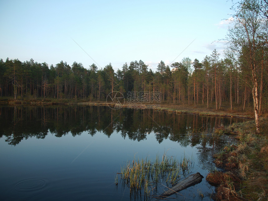 湖在木林中下降俄罗斯卡丽亚图片