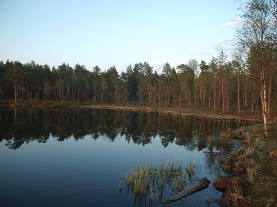 湖在木林中下降俄罗斯卡丽亚高清图片