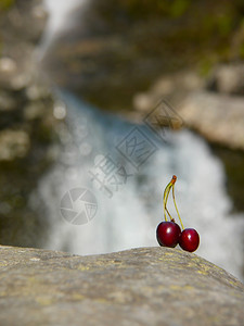瀑布背景的樱桃图片