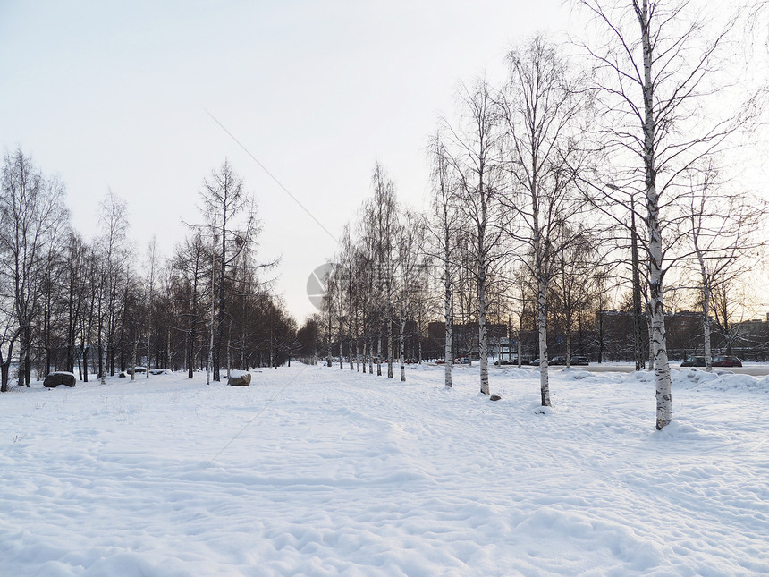 雪地貌图片