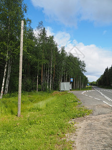 森林中的公交车站背景图片
