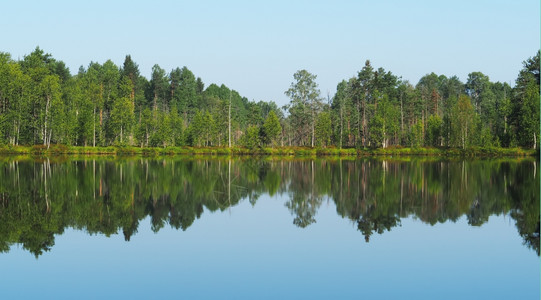 奥索科斯基卡雷利亚森林湖背景