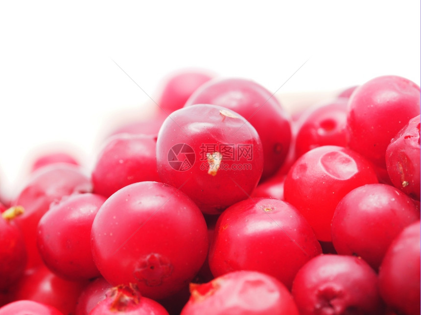 白背景的红莓图片