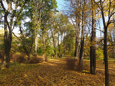 秋天公园图片