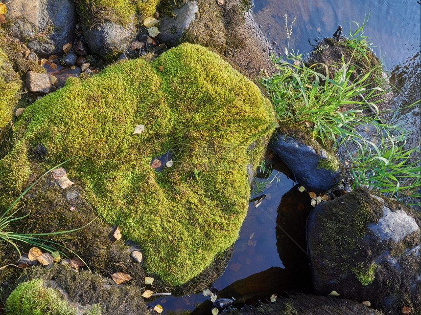 石头泥土水被满图片