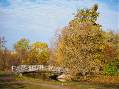 秋天在河上桥图片