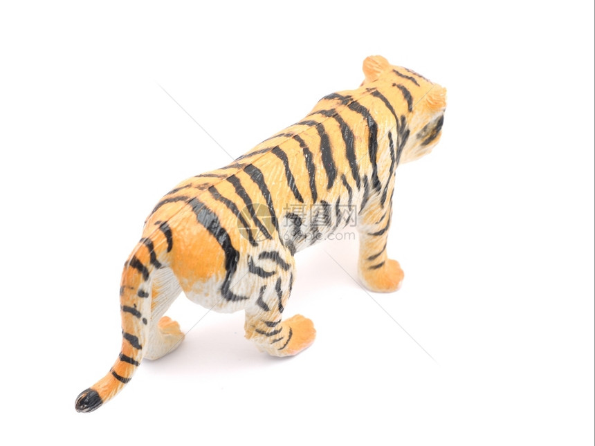 白色背景上的玩具老虎图片
