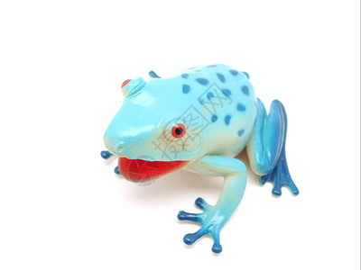 白色背景的蓝玩具青蛙图片