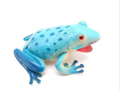 白色背景的蓝玩具青蛙图片