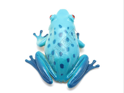 白色背景的蓝玩具青蛙背景图片