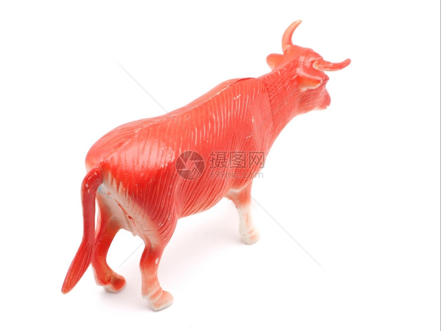 白色背景的红公牛玩具图片