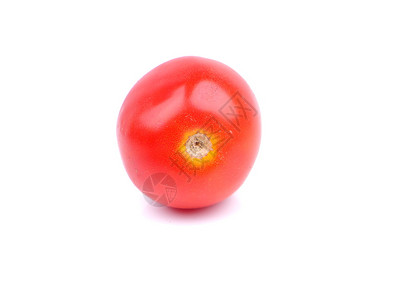 白色背景的西红柿图片