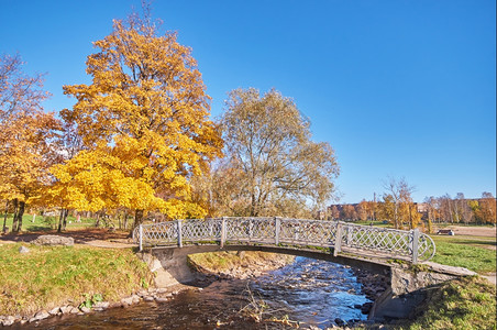 秋天公园的河桥对面图片